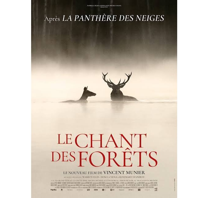 affiche du film Le Chant des Forêts