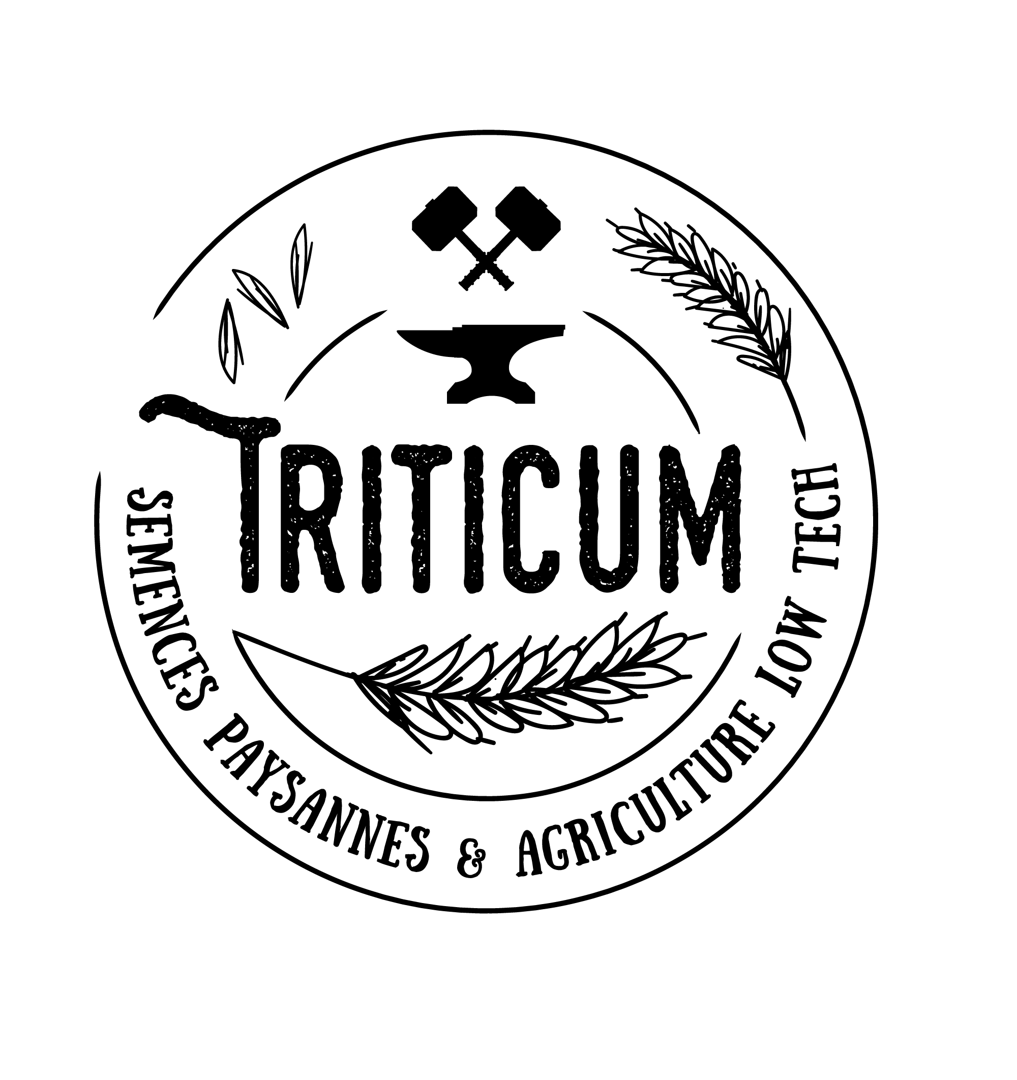 TRITICUM
