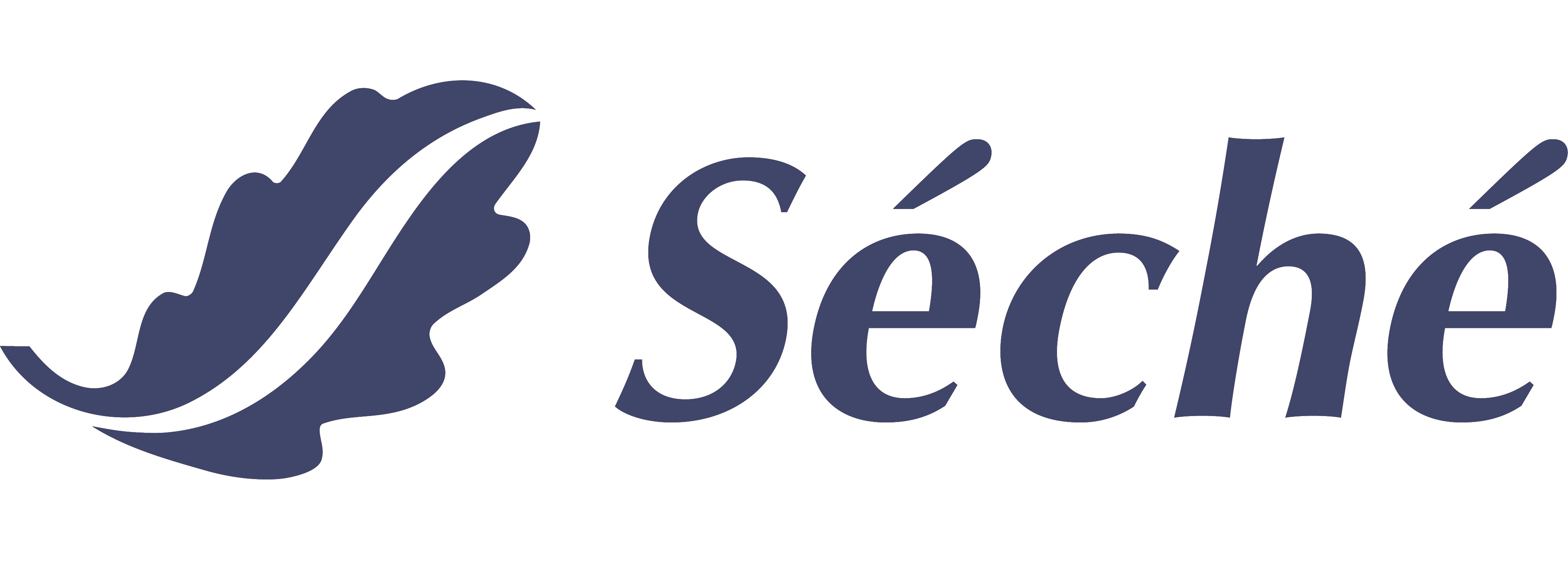 logo groupe séché